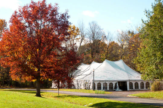 A large white event tent sits in a park with vibrant autumn trees. A tree with bright red leaves is prominent on the left, under a clear blue sky.